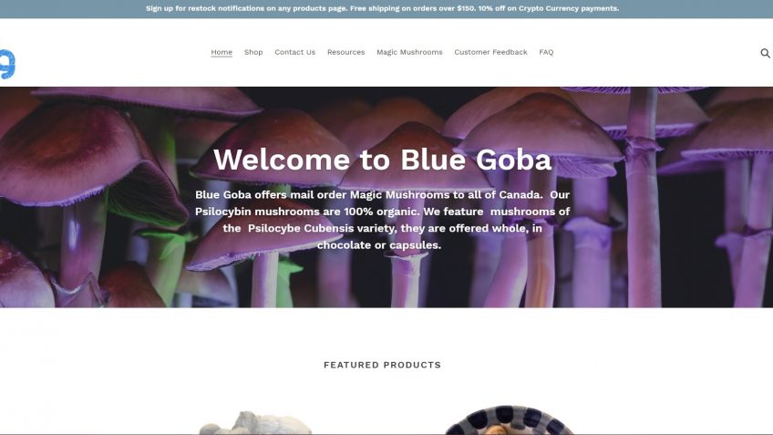 blue goba review