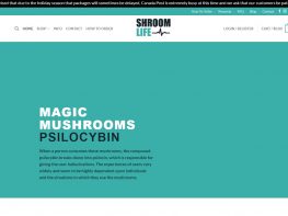 shroom life review